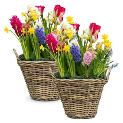 Mega Collections Planten of bloemen mand - 2x - D50 x H40 cm - rond - rotan gevlochten - bloempot
