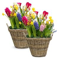 Mega Collections Planten of bloemen mand - 2x - D50 x H40 cm - rond - rotan gevlochten - bloempot