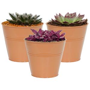 Plantenpot/bloempot Bob - 3x - rond - zink - terra - D15 X H13 cm