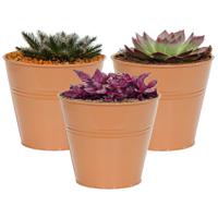 Plantenpot/bloempot Bob - 3x - rond - zink - terra - D15 X H13 cm