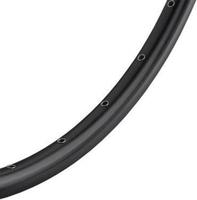 Ryde Velg zac 2000 disc 28" / 622*19c aluminium - 36 gaats 14g - mat zwart