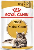 Royal Canin Maine Coon Adult natvoer kattenvoer 12x85g