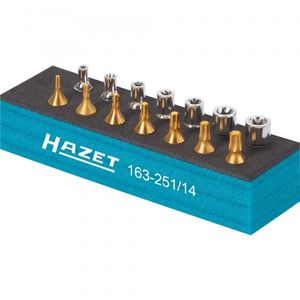 Hazet 163-251/14 Dopsleutel-bitinzetset 1/4 (6.3 mm) 14-delig