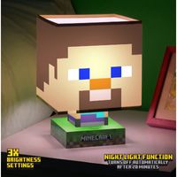 Minecraft: Steve Icon Lamp