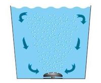 Europond Spindrifter Vijverbeluchter - Robuuste Pond Aerator met RVS Voet voor Optimale Zuurstofverdeling