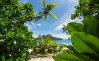 Komar Stefan Hefele; Komar Wanderlust Fotobehang Cast Away Jungle - SHX9-106