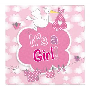 20x Geboorte meisje Babyshower thema feest servetjes 25 x 25 cm print roze