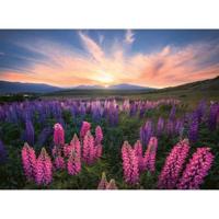Puzzel van 500 stukjes De lupinen (Nature-editie), 12 jaar, Puzzel van hoge kwaliteit, 12000688, Ravensburger