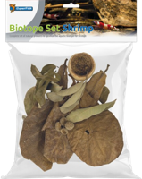 Superfish Biotope set shrimp