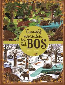 Twaalf maanden in het bos (Hardback)