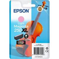 Epson Singlepack Light Magenta 250XL ink