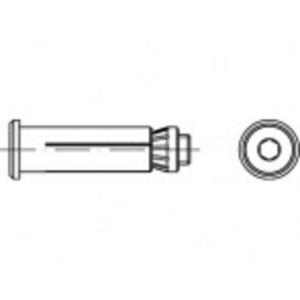 Alstertaler Schrauben & Präzisionsteile Hollo-Bolt 55 mm Staal (verzinkt) 820310130100055 1 stuk(s)