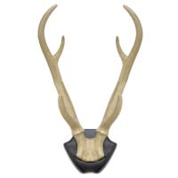 Wanddecoratie hertengewei op bord 34,5 cm | 6 stuks