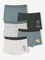 Set van 5 boxershorts Disney® ROI LION korstmos