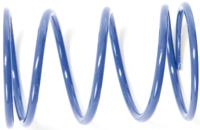 Polini Drukveer clutch back pressure spri (spring blue)