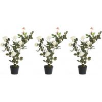3x Groene/witte Rosa/rozenstruik kunstplanten 80 cm in pot   -