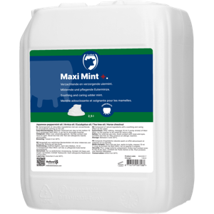 Maxi Mint grootverpakking incl. dosator