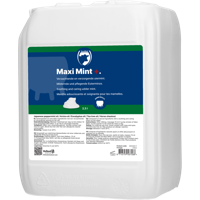 Maxi Mint grootverpakking incl. dosator - thumbnail