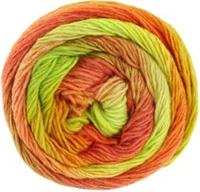 Lana Grossa Meilenweit 100 Color Mix Soft 061