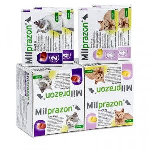 Milprazon Ontwormingsmiddel kat  (2-8 kg) 3 x 4 tabletten