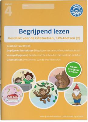 Begrijpend lezen (Paperback)