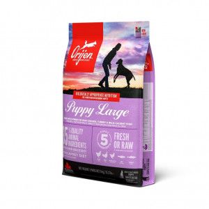 Orijen Puppy Large Kip, Vis, Turkije 6 kg