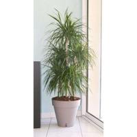 RIVIERA Loft bloempot met waterreserve - Rond - Ø 50 x H 46 cm - Taupe