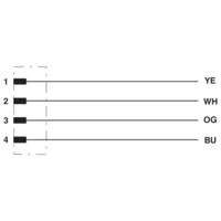 Phoenix Contact 1524307 Sensor/actuator aansluitkabel Aantal polen: 4 2.00 m 1 stuk(s) - thumbnail