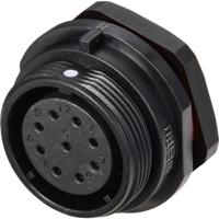 Weipu SP2112 / S 9 Ronde connector Bus, inbouw Totaal aantal polen: 9 Serie (ronde connectoren): SP21 1 stuk(s)
