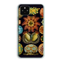 Haeckel Ascidiae: Google Pixel 5a 5G Transparant Hoesje