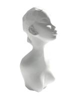 Powertex • gips zora