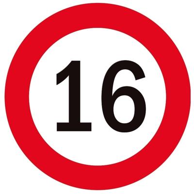 16 jaar onderzetters/bierviltjes - 25x stuks - Sweet 16 - verjaardag - feestartikelen