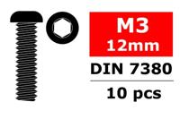 Team Corally - Staal schroeven M3x12mm - Laagbolkop binnenzeskant - 10 st (C-3003-30-12)