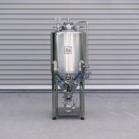 Ss Brewtech™ Unitank 53 l (14 gal) - thumbnail