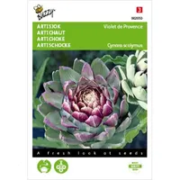 Artisjok Violet De Provence