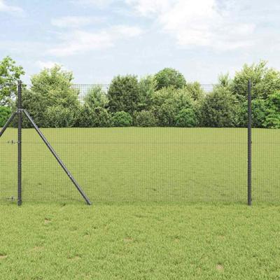 Gelaste draadhek Grijs 1.2 x 50 m Staal