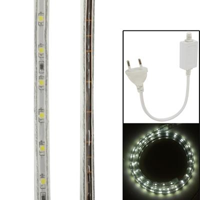 Behuizing waterdicht touw licht lengte: 1m witte Lgiht met Controller 60LED/m AC 220V(White)