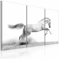 Schilderij - Paard in Galop, Wit/Grijs, wanddecoratie,  Print op Canvas , 3luik