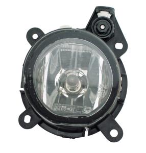 Mistlamp rechts 195699012