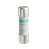 Schneider Electric DF2EA40 Zekeringsinzetstuk 10 stuk(s) - thumbnail