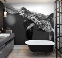 Dieren fotobehang zwart-witte schildpad