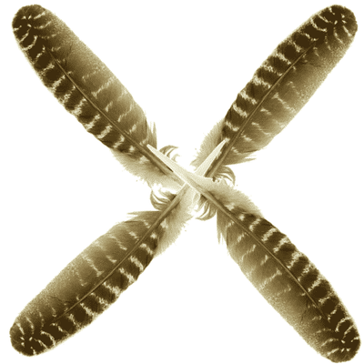 Kalkoenveer Bronskleurig