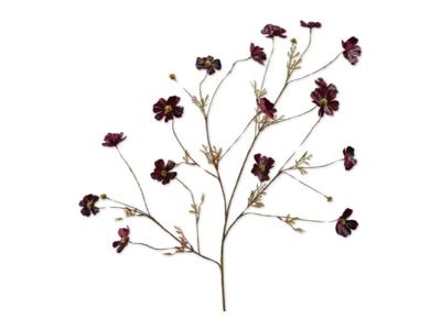 Cosmostak l104 cm boroodeaux - Silkka