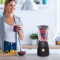 Magnani Blender