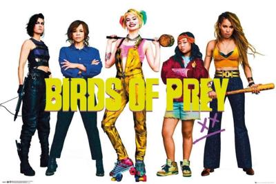 Poster Birds of Prey Group 91,5x61cm