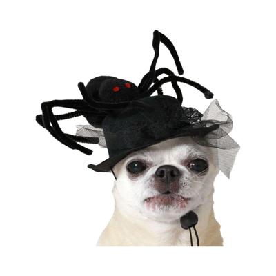 Kostuum voor honden Zwart Hoed