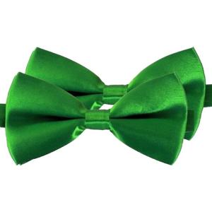 Carnaval verkleed vlinderstrikje - 2x - groen - 12 cm - voor dames/heren - strikken - kleding