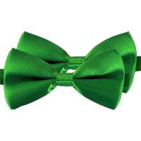 Carnaval verkleed vlinderstrikje - 2x - groen - 12 cm - voor dames/heren - strikken - kleding