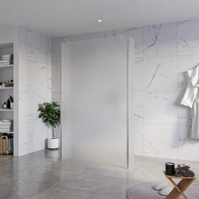 Fortifura Galeria Vrijstaande Inloopdouche - 120x200cm - Glas mat - antikalk - 8mm veiligheidsglas - 2 zijwanden 40cm - wandsteunen en hoekprofielen - Geborsteld RVS PVD (RVS) SW927769 2x/SW797928/SW797921 2x/SW798730 2x