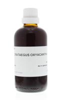 Homeoden Heel Crataegus oxyacantha phyto